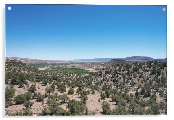 Desert landscape Utah Acrylic by Arun 