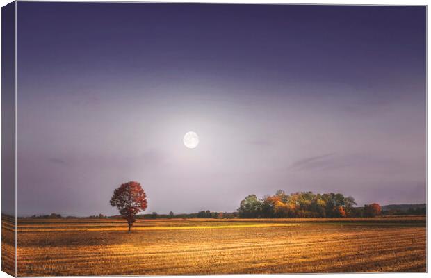 Lonely tree in the field beneath the moon  Canvas Print by Dejan Travica
