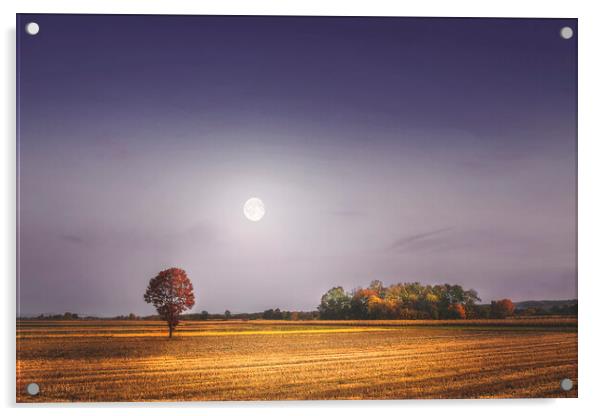 Lonely tree in the field beneath the moon  Acrylic by Dejan Travica