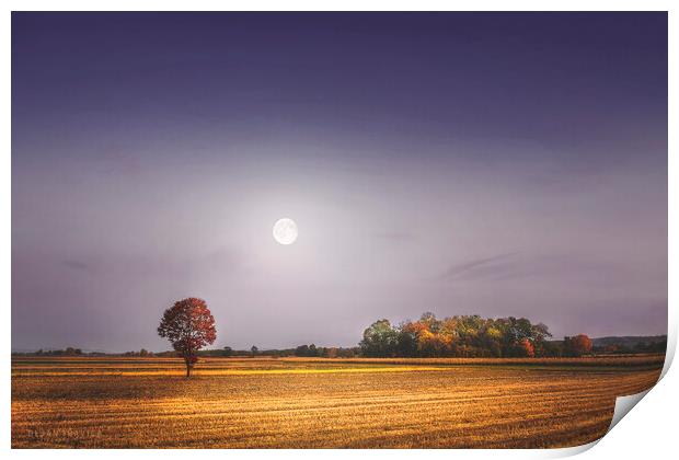 Lonely tree in the field beneath the moon  Print by Dejan Travica