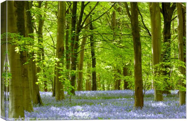 Plant tree Canvas Print by Simon Johnson