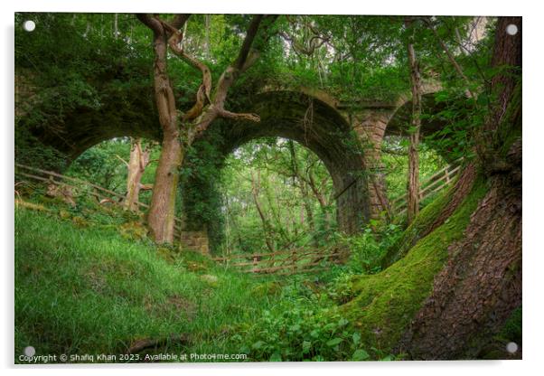 Abandoned Viaduct at Hoghton Bottoms, Preston, Lancashire, UK (Nature Taking Over) Acrylic by Shafiq Khan