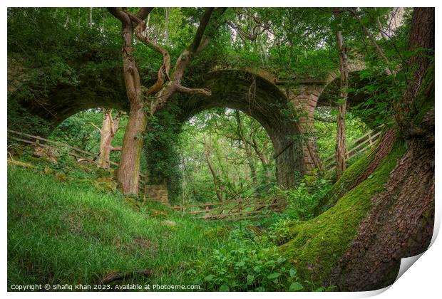 Abandoned Viaduct at Hoghton Bottoms, Preston, Lancashire, UK (Nature Taking Over) Print by Shafiq Khan