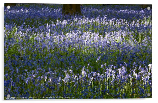 Outdoor field Acrylic by Simon Johnson