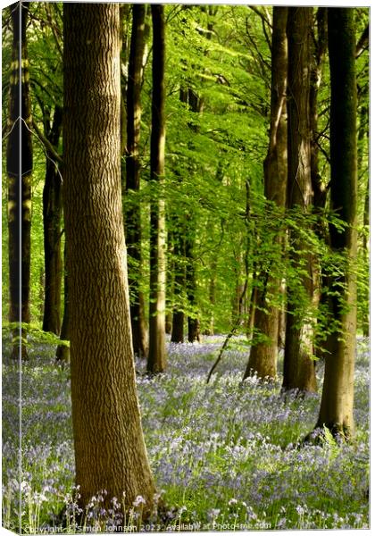 Plant tree Canvas Print by Simon Johnson