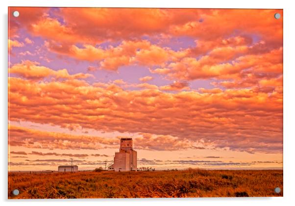 sunset over old grain elevator Acrylic by Dave Reede