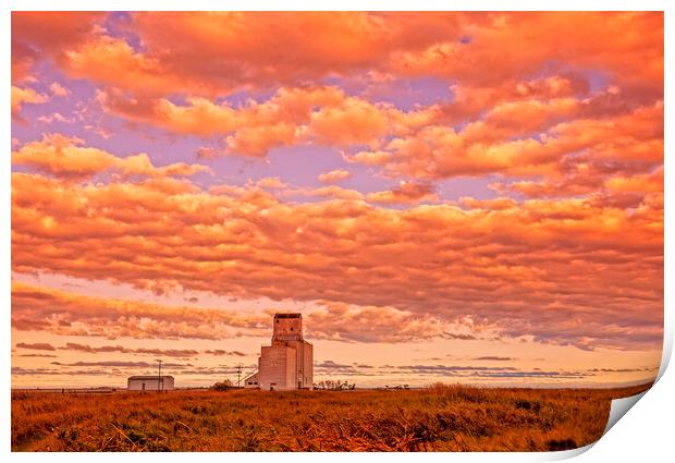 sunset over old grain elevator Print by Dave Reede