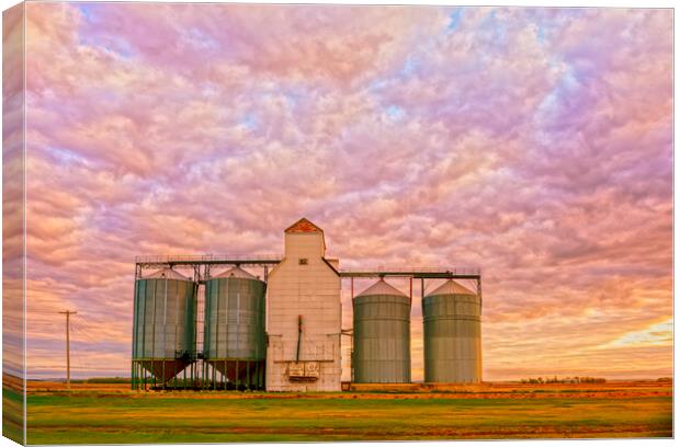 old grain elevator  Canvas Print by Dave Reede