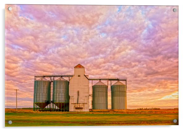 old grain elevator  Acrylic by Dave Reede
