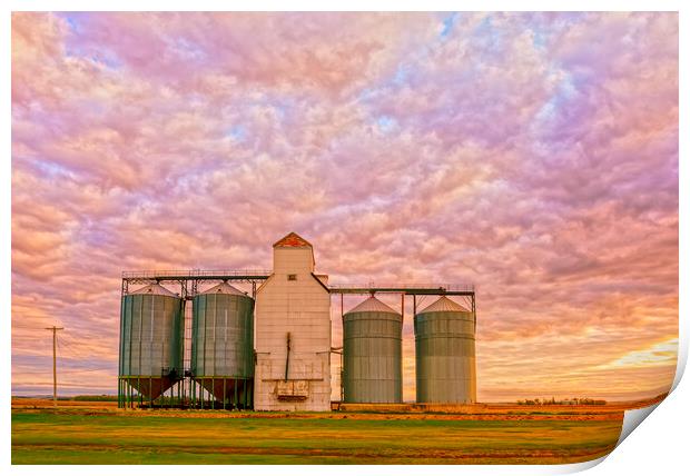 old grain elevator  Print by Dave Reede