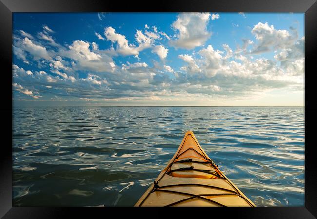 Kayaking Framed Print by Dave Reede