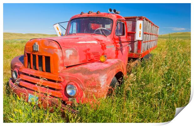 old red farm truck Print by Dave Reede