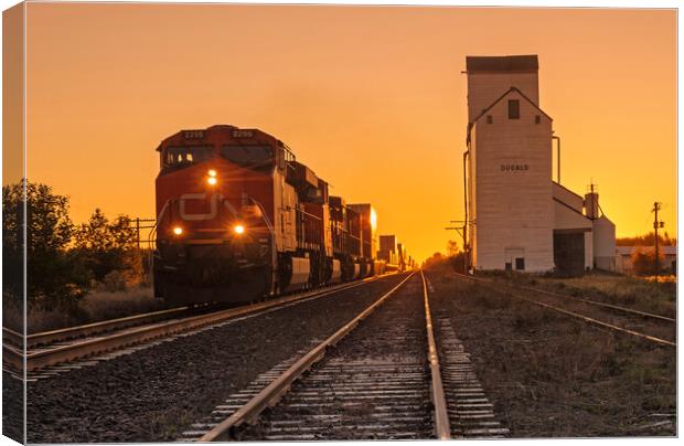 train pulling shipping containers passes a grain elevator Canvas Print by Dave Reede