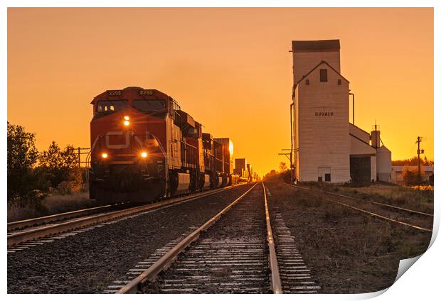 train pulling shipping containers passes a grain elevator Print by Dave Reede