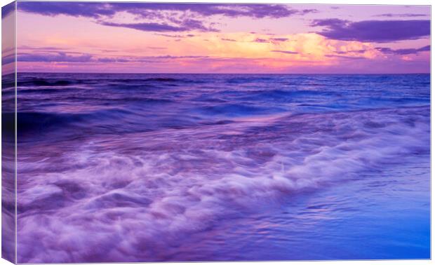 Evening Waves Canvas Print by Dave Reede