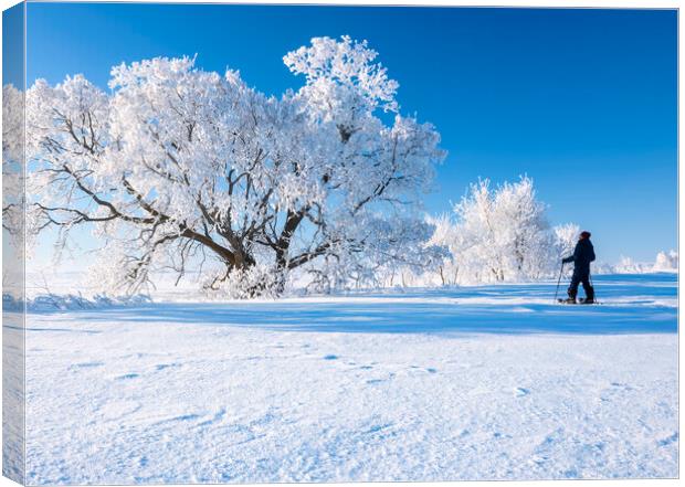 snowshoeing in the frost Canvas Print by Dave Reede