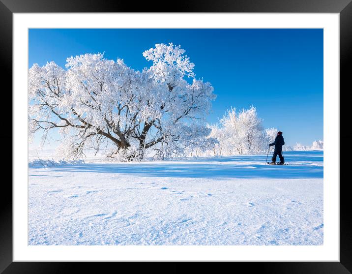 snowshoeing in the frost Framed Mounted Print by Dave Reede