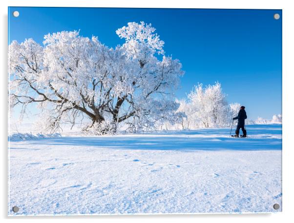 snowshoeing in the frost Acrylic by Dave Reede