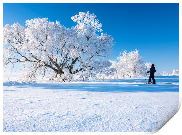 snowshoeing in the frost Print by Dave Reede