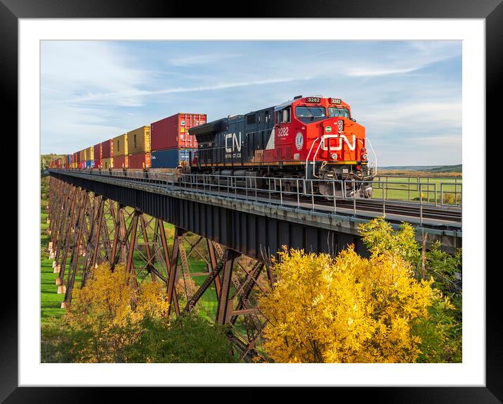 rail cars carrying containers on the Uno trestle Framed Mounted Print by Dave Reede
