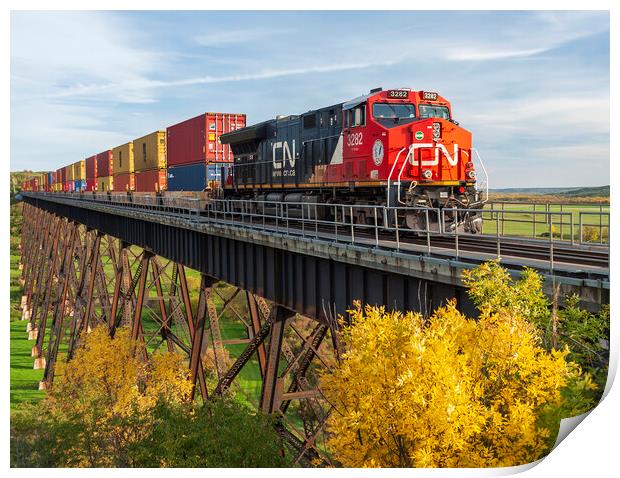rail cars carrying containers on the Uno trestle Print by Dave Reede