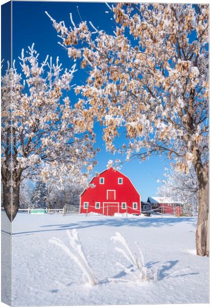 Red Barn During Winter Canvas Print by Dave Reede