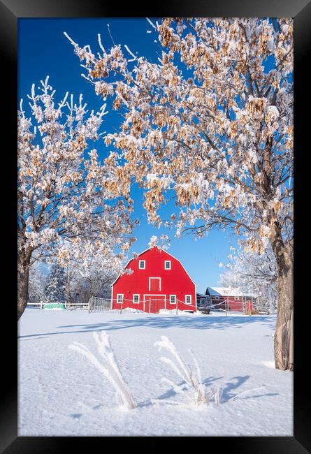 Red Barn During Winter Framed Print by Dave Reede
