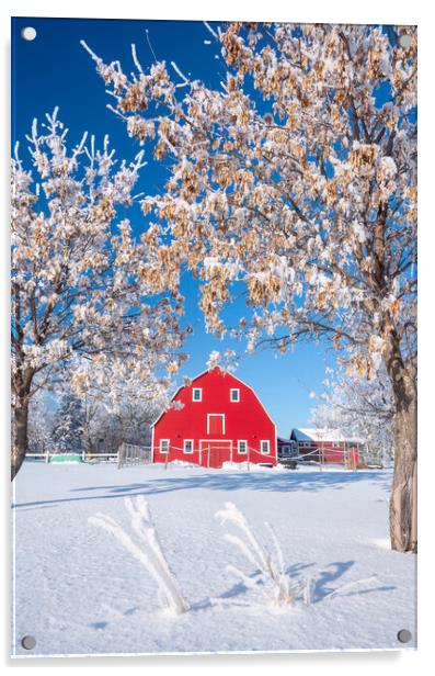 Red Barn During Winter Acrylic by Dave Reede