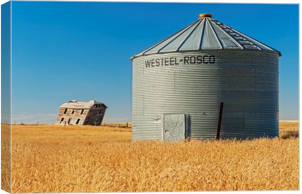 abandoned farm house and old grain bin Canvas Print by Dave Reede