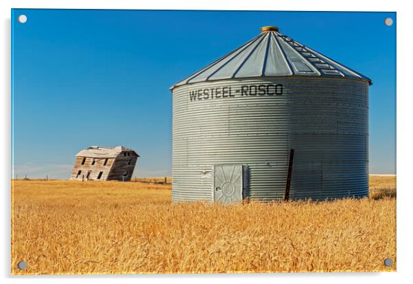 abandoned farm house and old grain bin Acrylic by Dave Reede