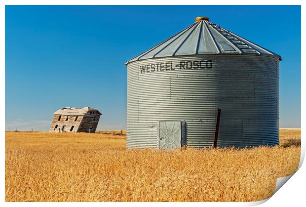 abandoned farm house and old grain bin Print by Dave Reede