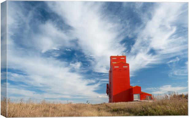 grain elevator Canvas Print by Dave Reede