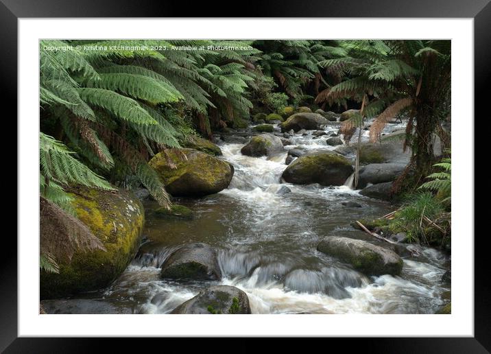 River of Ferns Framed Mounted Print by Kristina Kitchingman