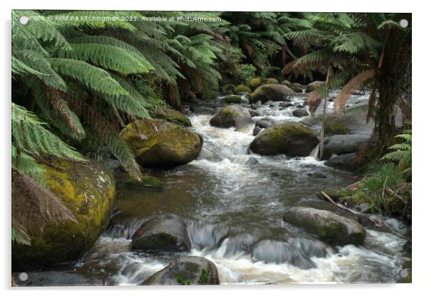 River of Ferns Acrylic by Kristina Kitchingman