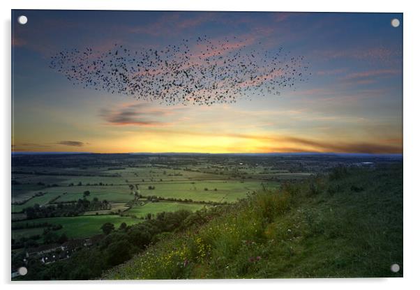 Somerset Levels Starling Murmuration Acrylic by Alison Chambers