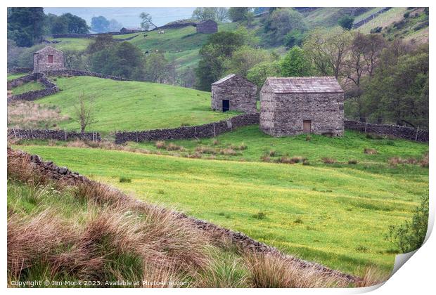 Buttercups and Barns, Yorkshire Dales Print by Jim Monk