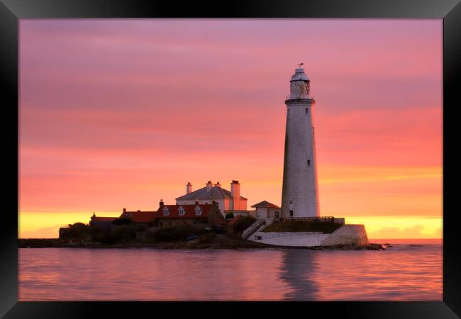 St Mary's Lighthouse Whitley Bay Framed Print by Tim Hill