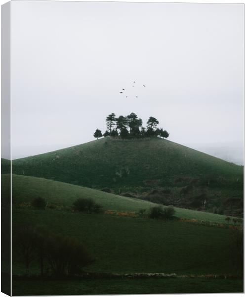 Mystical Colmers Hill Canvas Print by Mark Jones