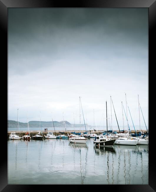 The Harbour, Lyme Regis Framed Print by Mark Jones