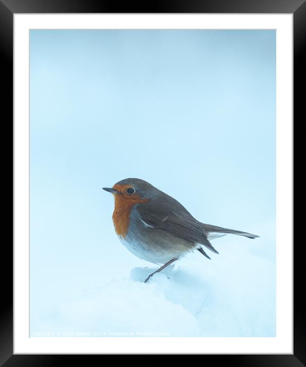 Peak district curious Robin Framed Mounted Print by Kevin Booker