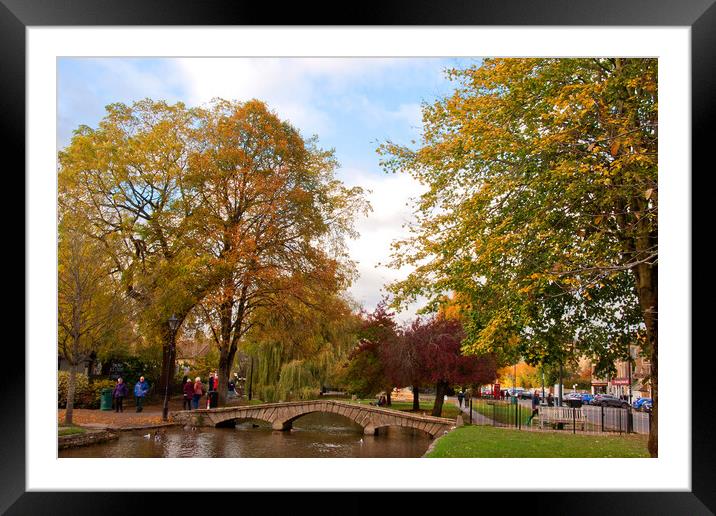 Autumn Trees Bourton on the Water Cotswolds Gloucestershire Framed Mounted Print by Andy Evans Photos