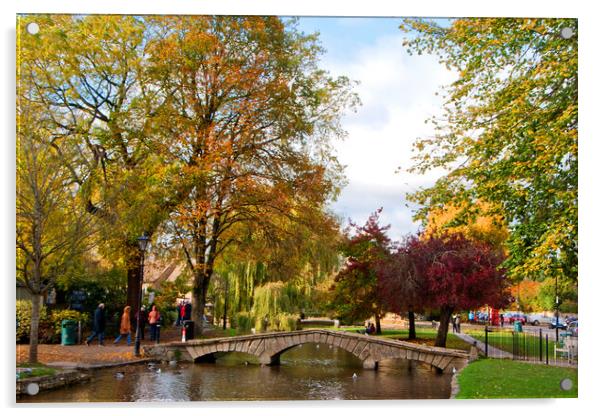 Autumn Trees Bourton on the Water Cotswolds Gloucestershire Acrylic by Andy Evans Photos