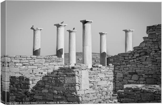 Pillars of Delos | Mykonos | Greece Canvas Print by Adam Cooke