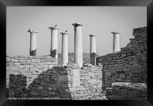 Pillars of Delos | Mykonos | Greece Framed Print by Adam Cooke