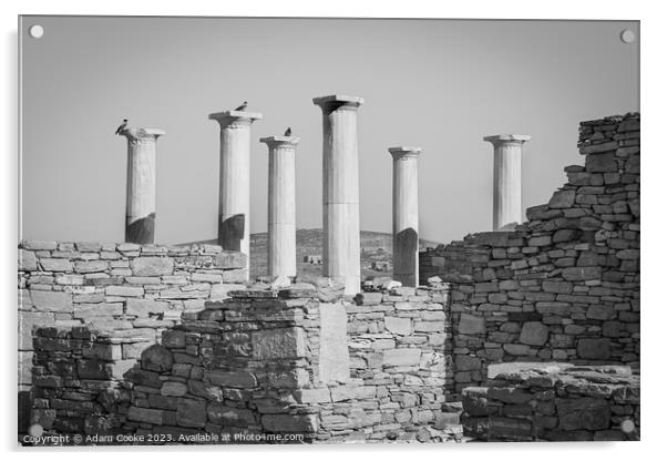 Pillars of Delos | Mykonos | Greece Acrylic by Adam Cooke