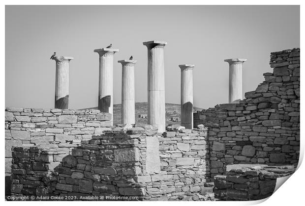 Pillars of Delos | Mykonos | Greece Print by Adam Cooke