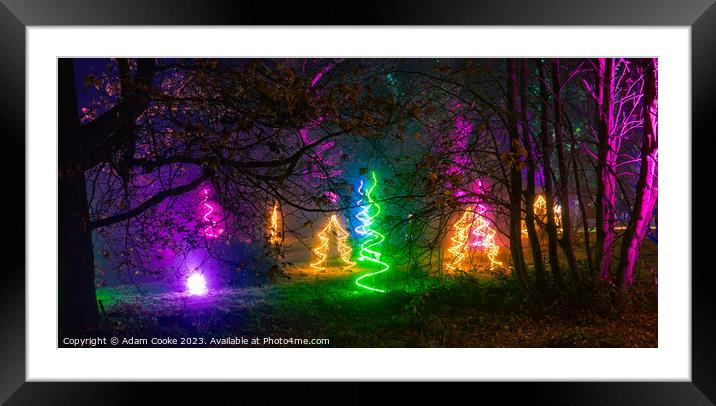Christmas at Bedgebury Forest | Flimwell | Kent Framed Mounted Print by Adam Cooke