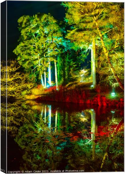 Christmas at Bedgebury Forest | Flimwell | Kent Canvas Print by Adam Cooke