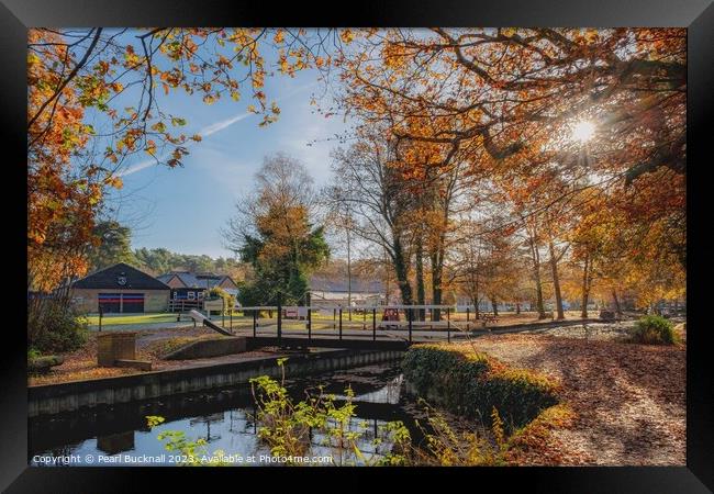 Basingstoke Canal in Autumn, Surrey Framed Print by Pearl Bucknall