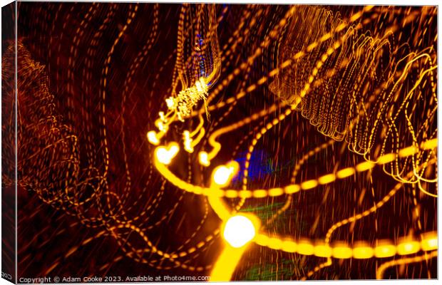Abstract Light Trail | Bedgebury Forest Canvas Print by Adam Cooke